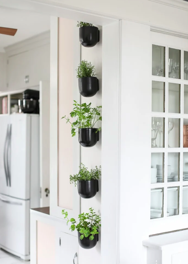 Czarna doniczka na ścianę z rozłożystą rośliną - imponujący akcent w Twoim salonie.